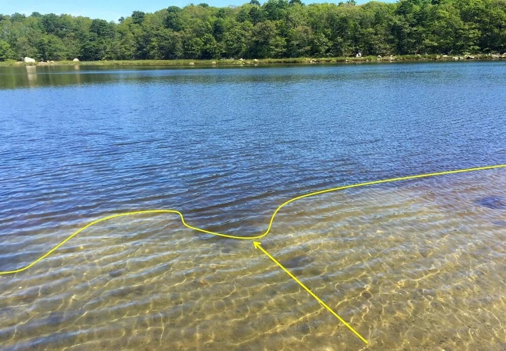 A harmful algae bloom of Cochlodinium polykrikoides discoloring coastal water