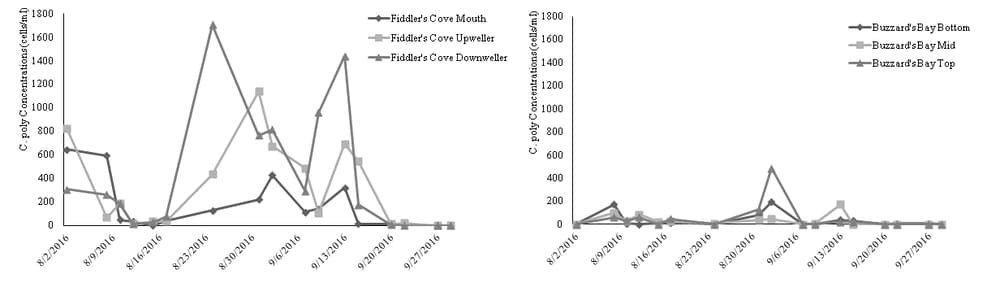 Map of Cochlodinium polykrikoides cell densities in Fiddler's Cove and Buzzards Bay