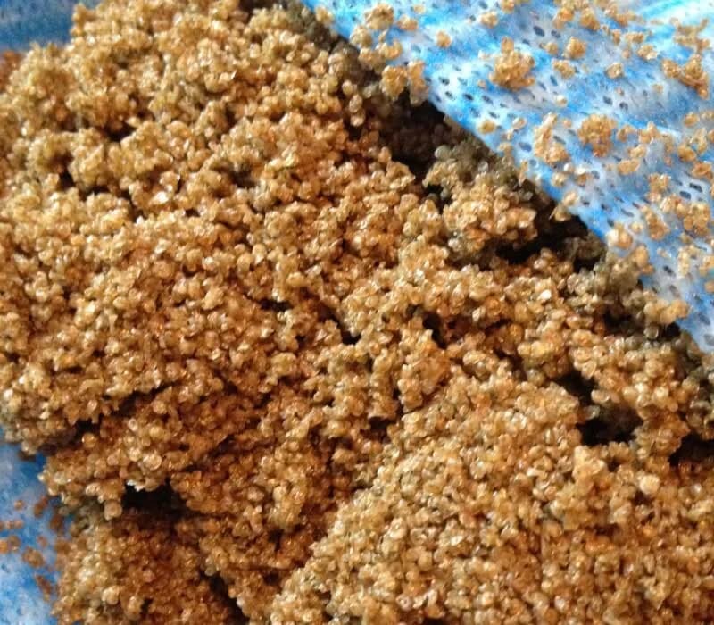 250,000 OYSTERS