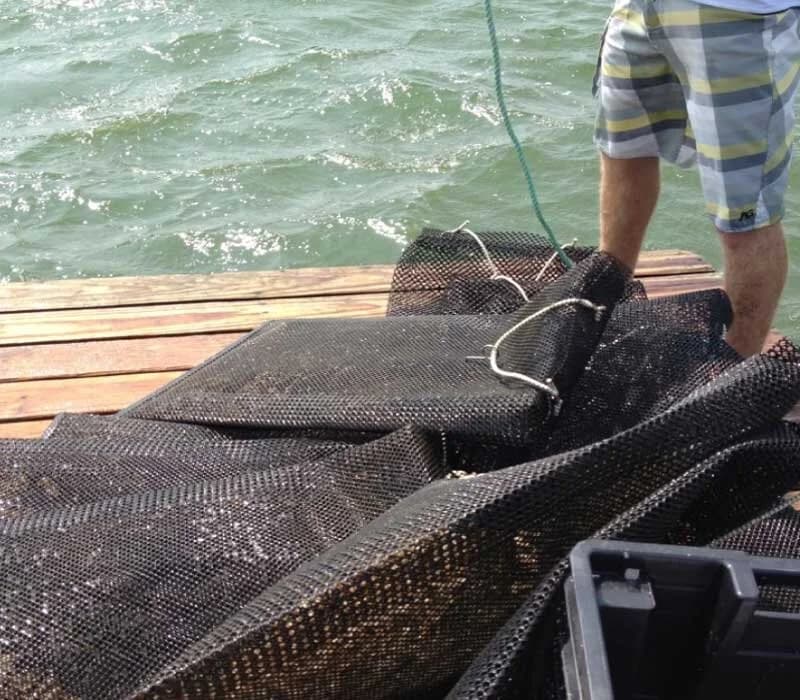 OYSTER BAGS