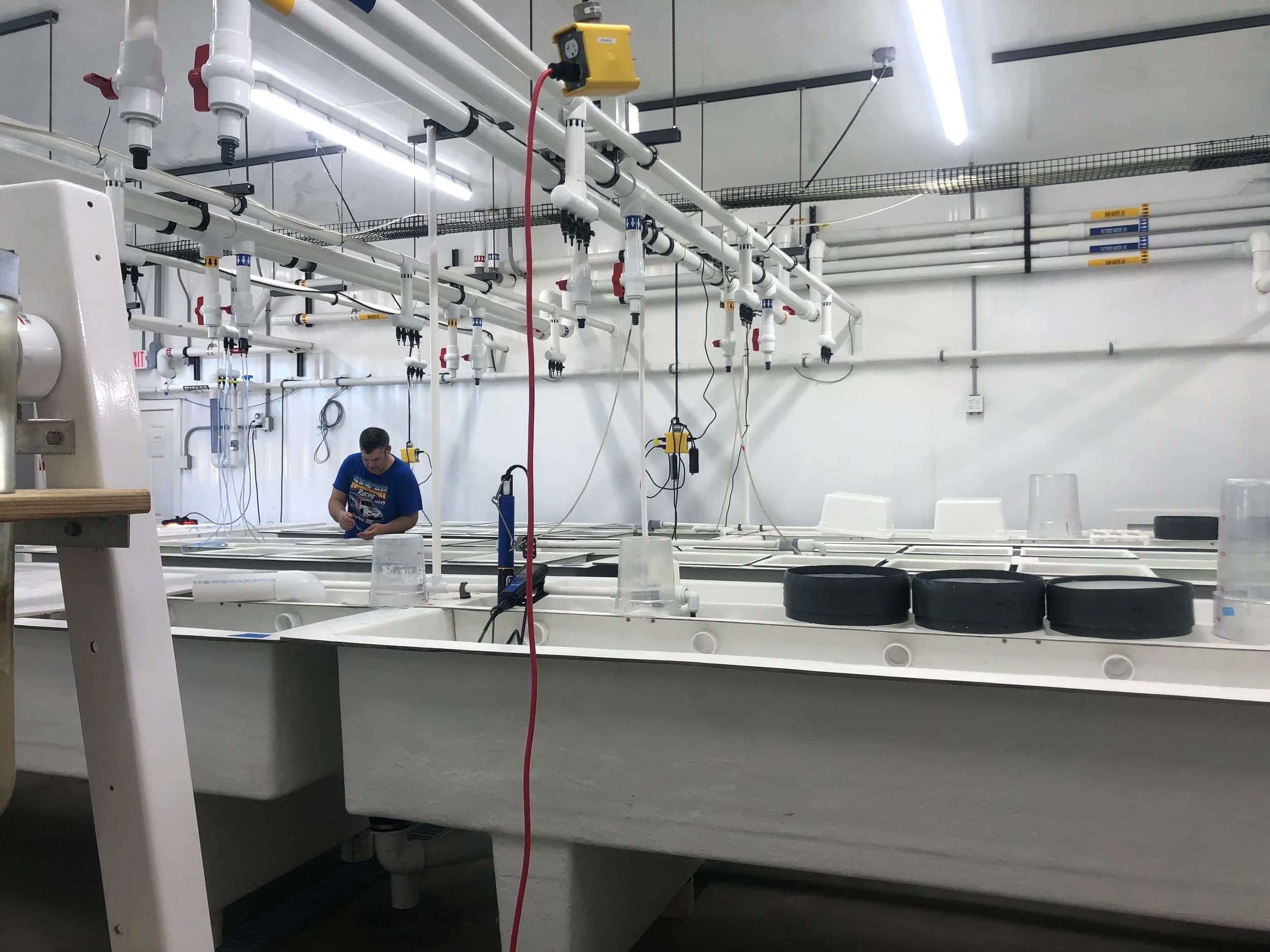The Scallop Bay Shellfish Co hatchery in Pocasset