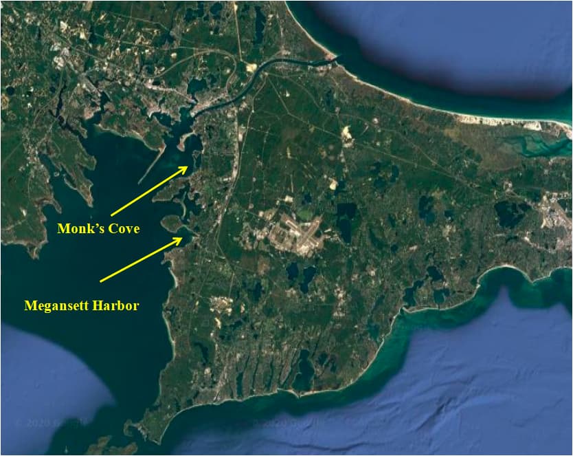 Invasive green crabs used as a feed source in the tautog diet study