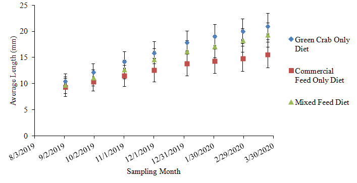 Chart of tautog length growth rates by diet: green crab, commercial feed, and a mixed diet