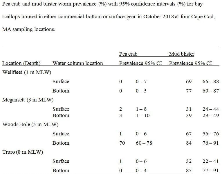 Table of pea crab and mud blister worm prevalence in surface versus bottom gear