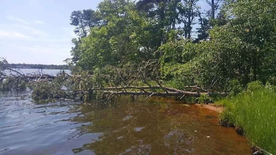 Oyster grow-out bags on lines at Swan Pond, Dennis