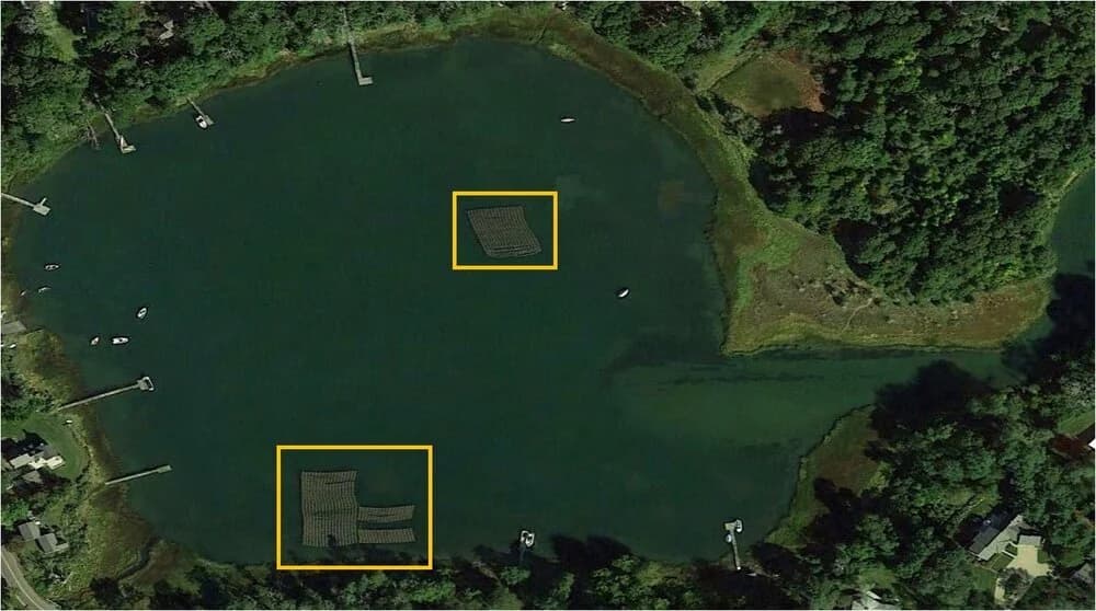 Floating ADPI oyster bags deployed in Lonnie's Pond, Orleans
