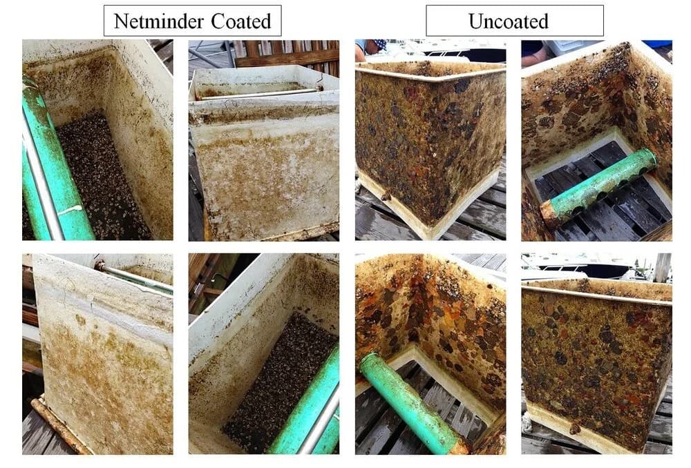 Comparison of upweller silos with and without Netminder anti-fouling coating