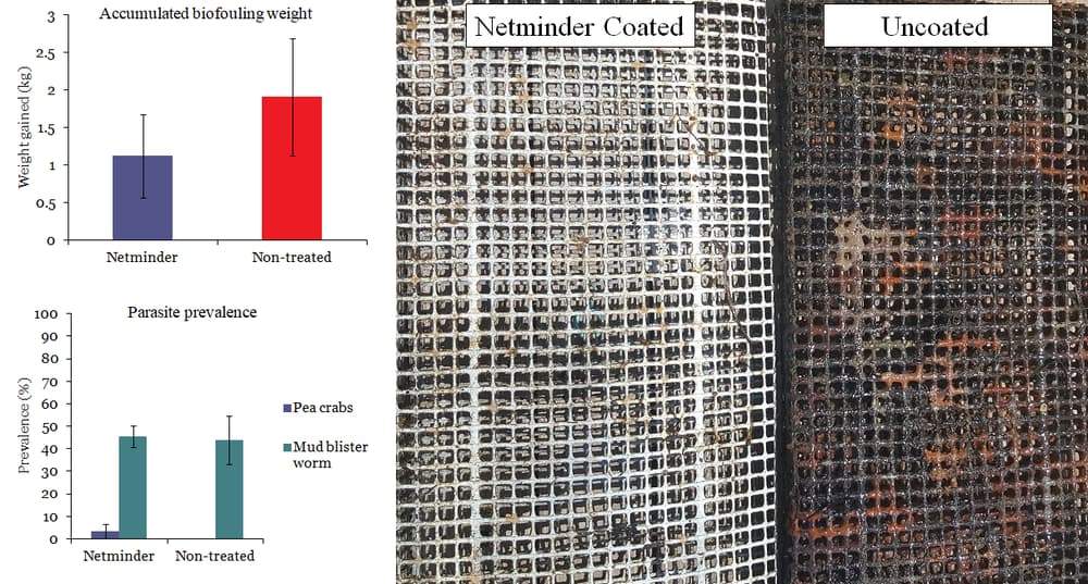 Chart of biofouling accumulation on Netminder-coated versus uncoated gear