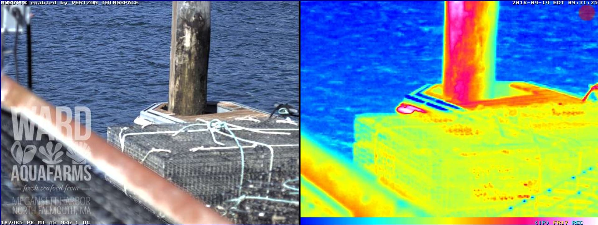 Thermal camera image of the farm captured by a Mobotix camera, April 2016
