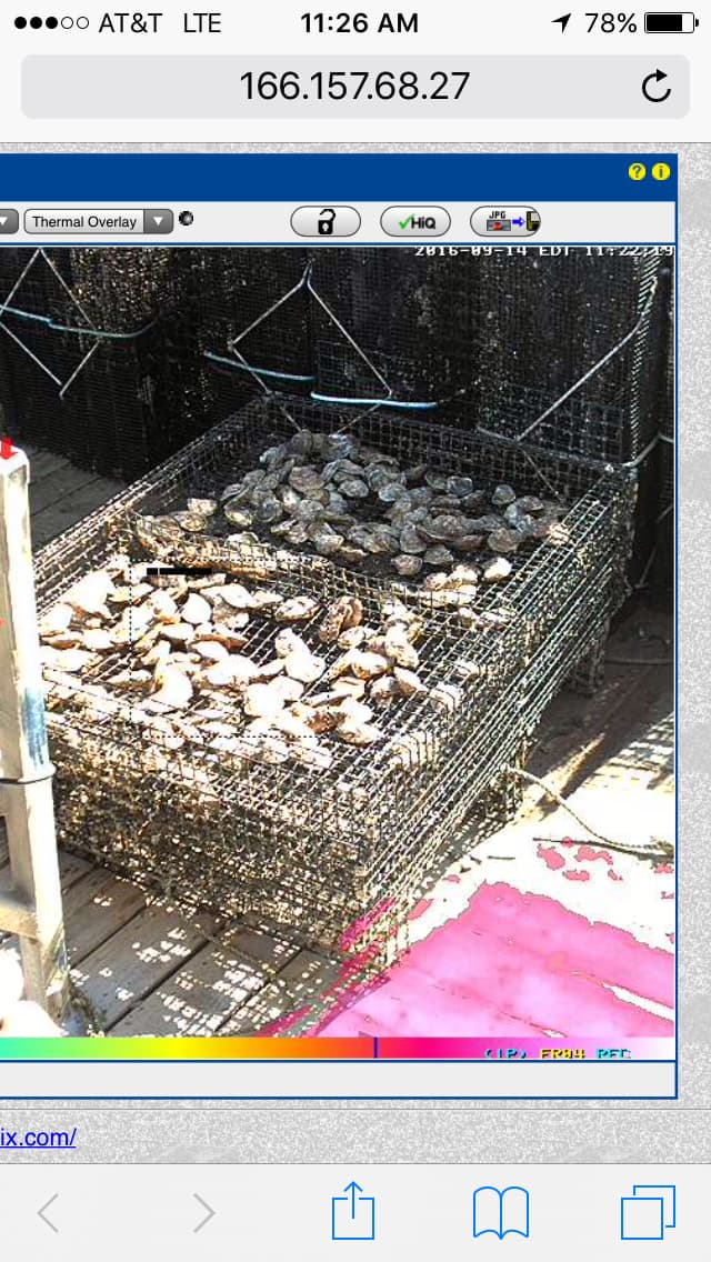 Monitoring hardware deployed at the oyster farm