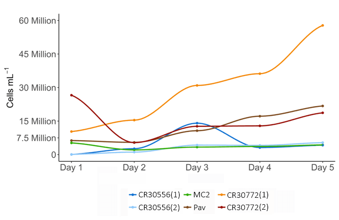 Cell density over 120 hours. The *C. cohnii* strains (orange and red) accumulate biomass far more rapidly than the photoautotrophic *Tetraselmis* (green) and *Pavlova* (brown).