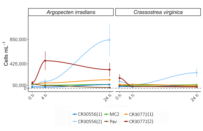 Change in suspended cell density over 24 hours in the presence of post-set bay scallops (left) and eastern oysters (right). Negative values indicate cells removed from suspension by the shellfish.