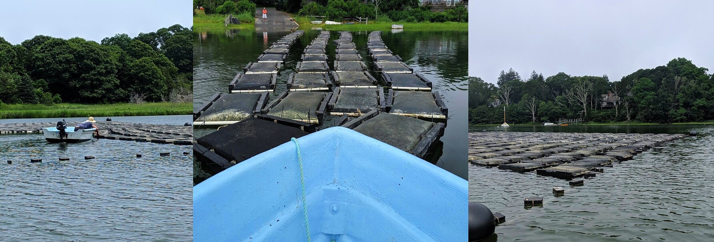 Floating bags on Lonnie's Pond in Orleans