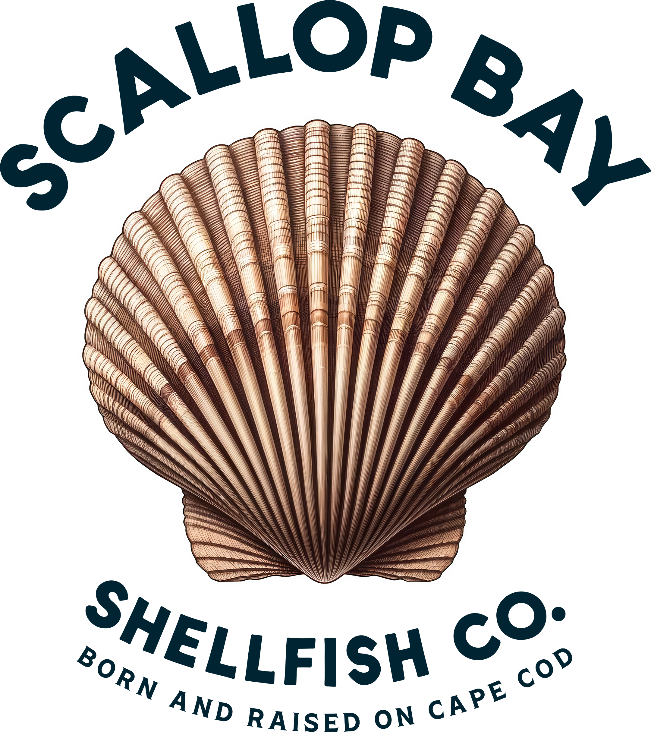 Scallop Bay Shellfish Co logo