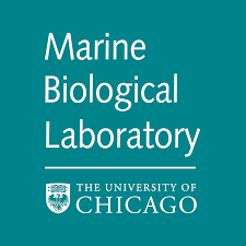 Marine Biological Laboratory logo