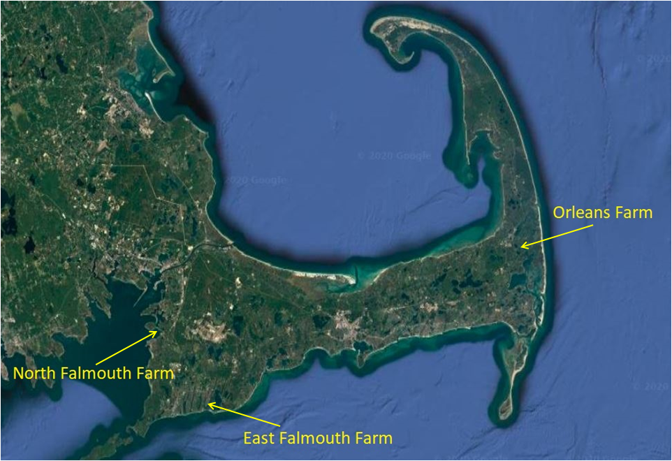 Map of Ward Aquafarms oyster growing locations